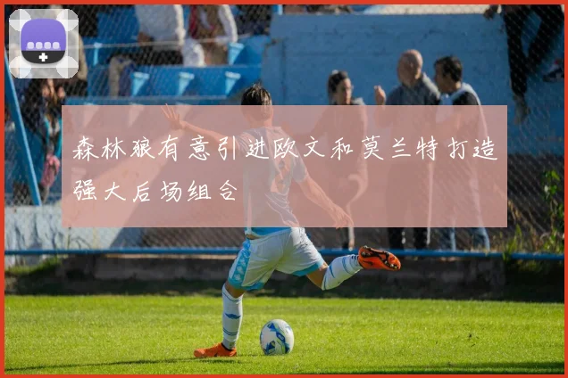 森林狼有意引进欧文和莫兰特打造强大后场组合